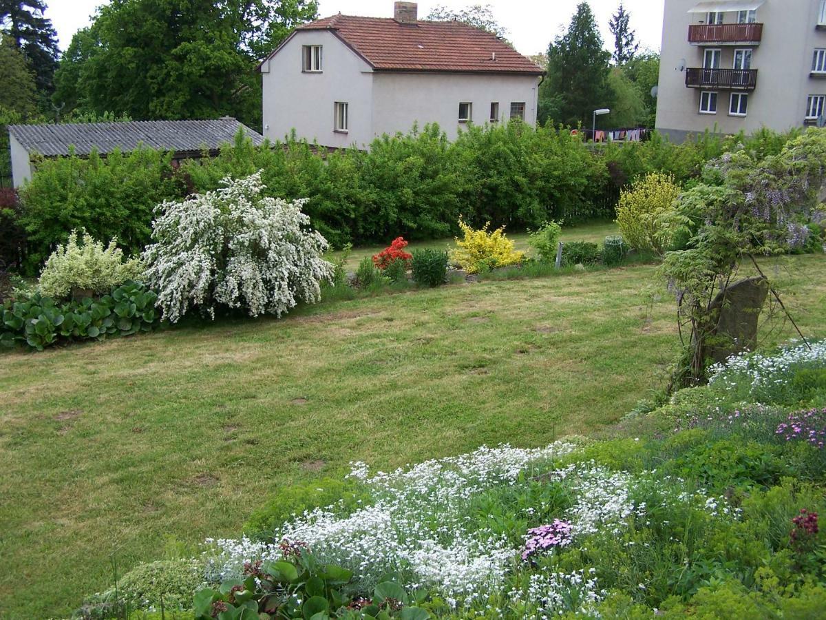 Penzion Belcice Hotel Buitenkant foto